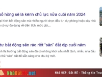 #3 Cuộc săn lùng của giới đầu tư với đất nền trên dưới 1 tỷ đồng