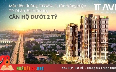 DỰ ÁN TT AVIO DĨ AN BÌNH DƯƠNG