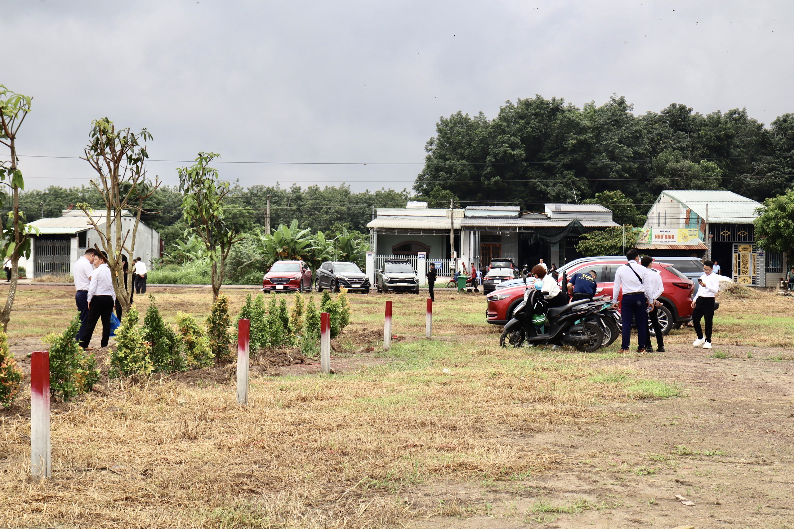 Hiện trạng đất khu dân cư Tân Thành TP Đồng Xoài, đất bằng phẳng sạch đẹp, có cắm cọc bê tông chia ranh giới